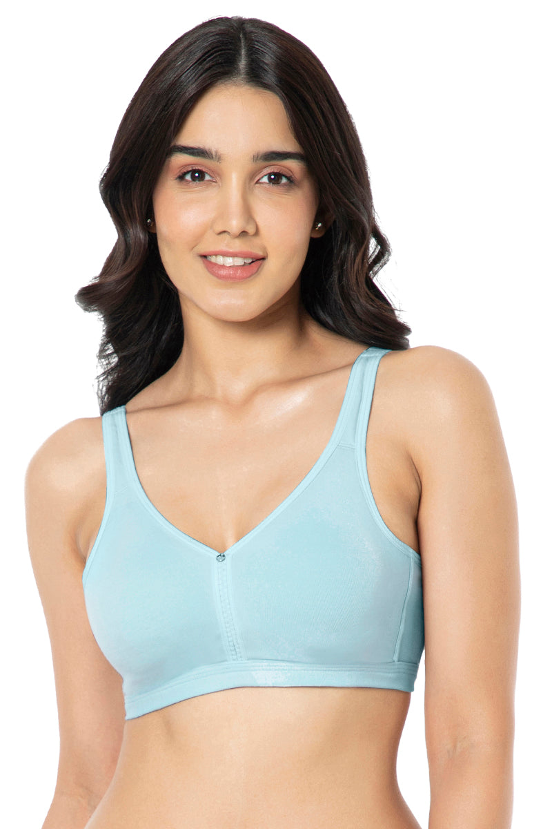 Amante Cotton 32A Push Up Bra in Valsad - Dealers, Manufacturers