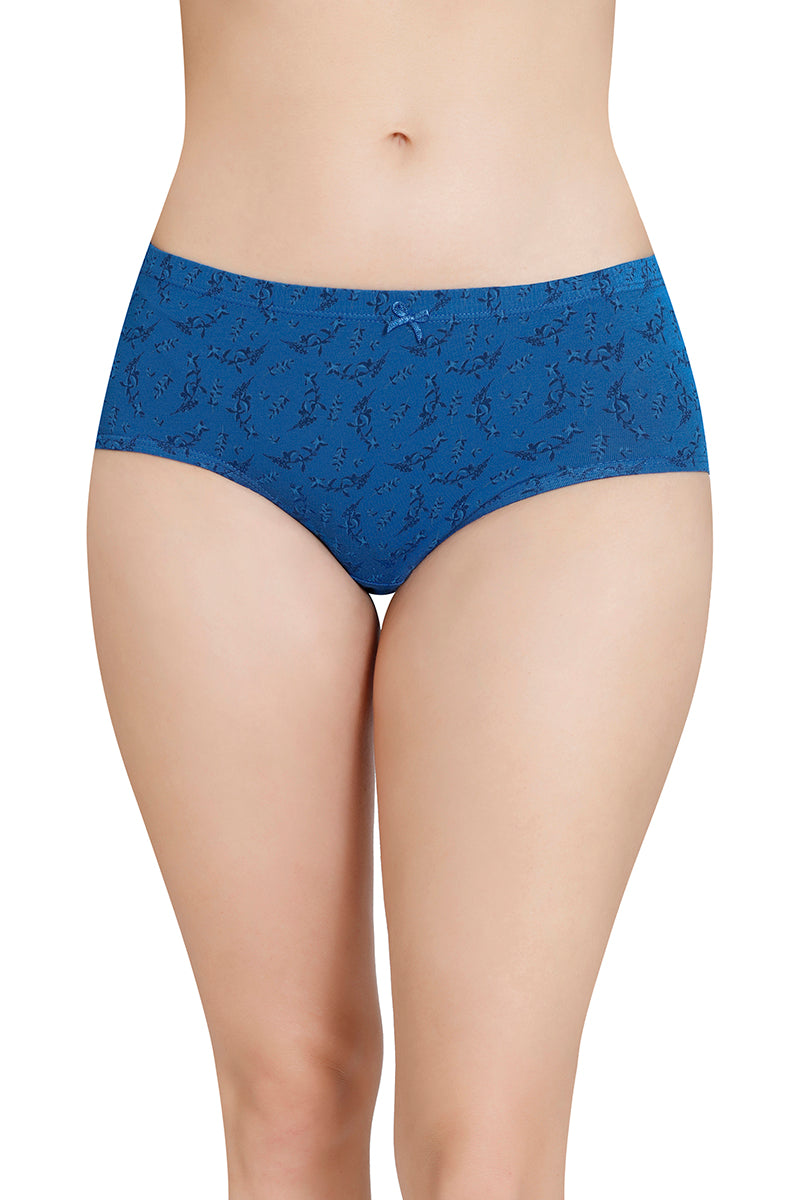 Buy womens Invisibles Hipster Panty Hipster Panties Online at  desertcartINDIA